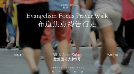 2ed952aa-239b-d530-d3d9-ed610241731c 2ed952aa-239b-d530-d3d9-ed610241731c