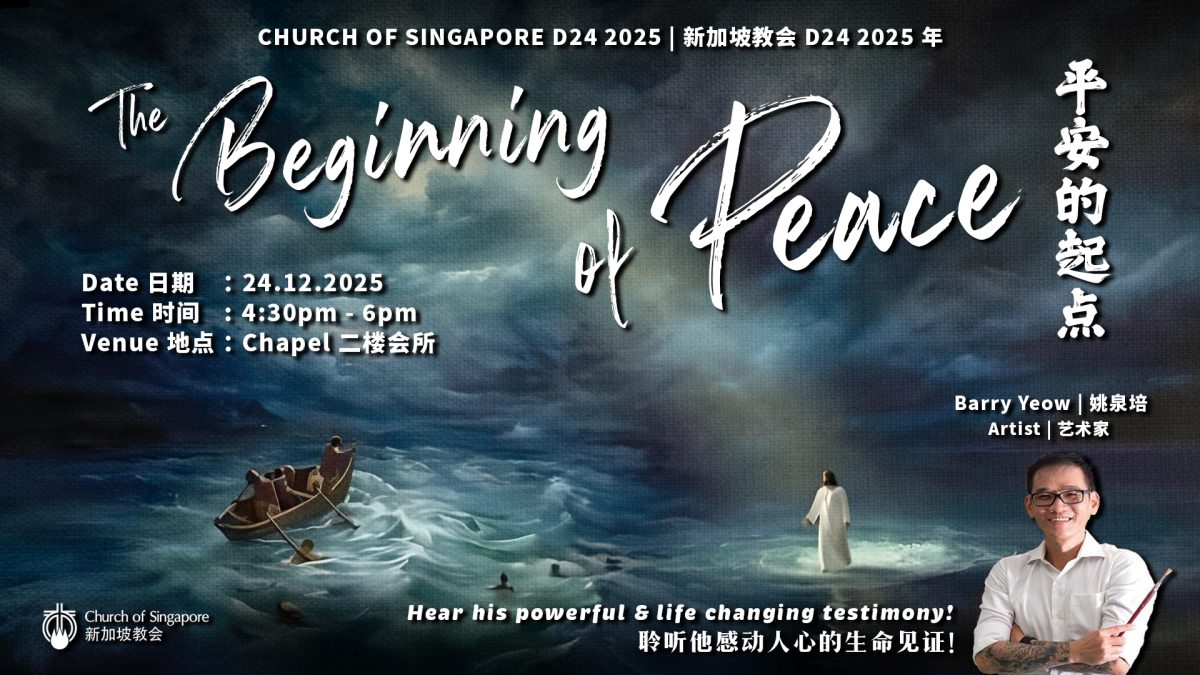 D24 new type 2 D24 new type 2